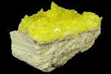 Sulfur Crystals on Matrix - Bolivia #84515-1